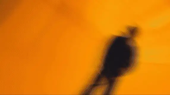 Beginner's Luck Editing Bundle for Music Video VFX - Image 4
